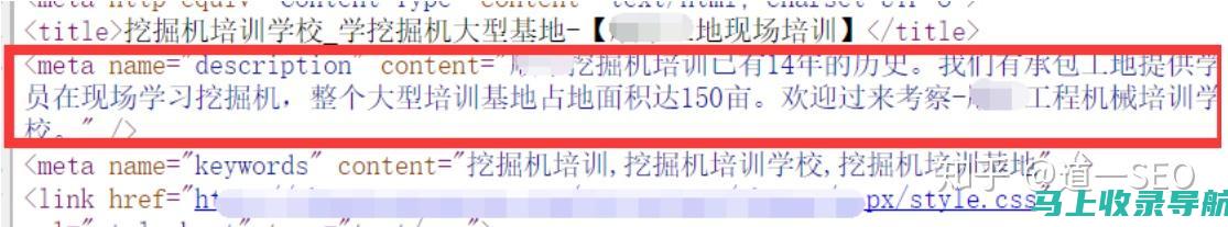 SEO站长实战报告：洞悉最新资讯，提升网站营销效果