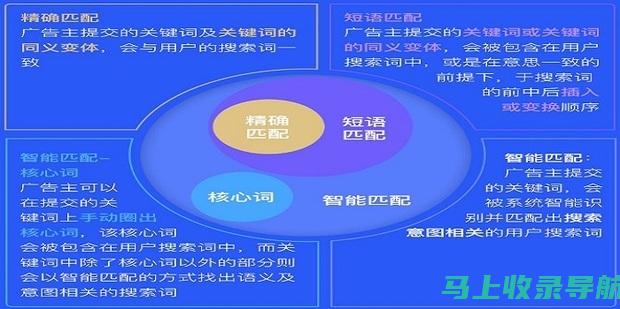 关键词策略实战：成功的SEO网站推广案例分析